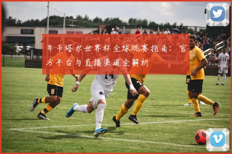 年卡塔尔世界杯全球观赛指南：官方平台与直播渠道全解析