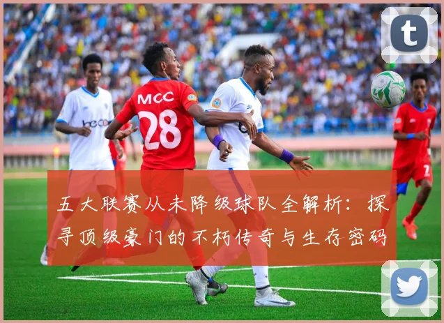 五大联赛从未降级球队全解析：探寻顶级豪门的不朽传奇与生存密码