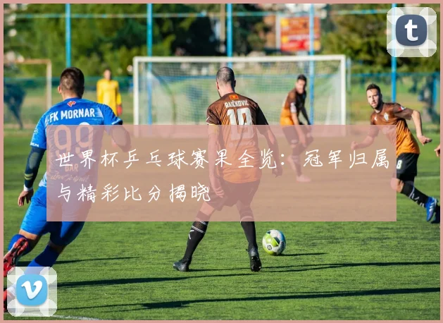 世界杯乒乓球赛果全览：冠军归属与精彩比分揭晓